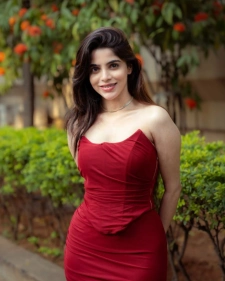Dehradun Escort Services